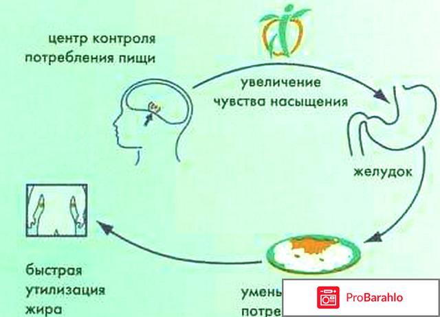 Меридия врачей обман