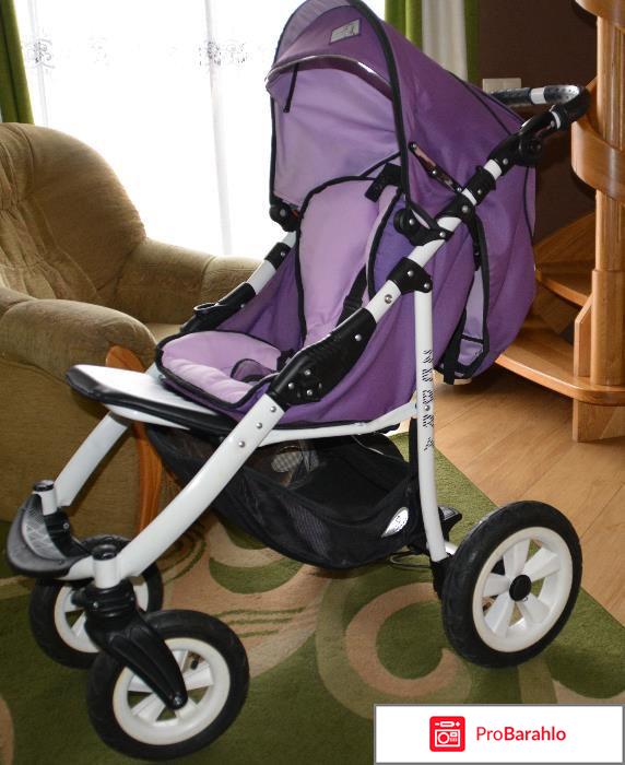 Prampol zebra обман