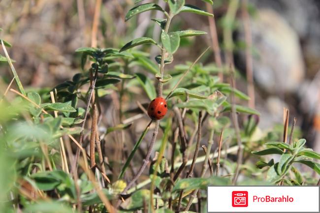 Горный санаторий 