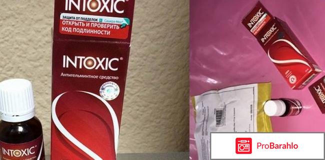 Интоксик (Intoxic) фото
