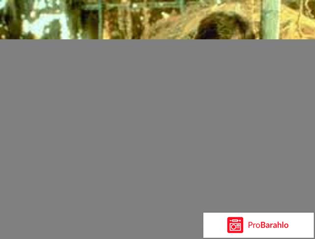 Фильм Пьяный мастер обман