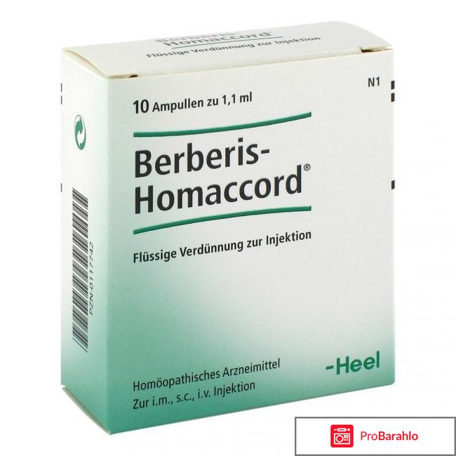 БЕРБЕРИС-ГОМАККОРД 