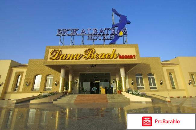 Dana beach resort 5 хургада 