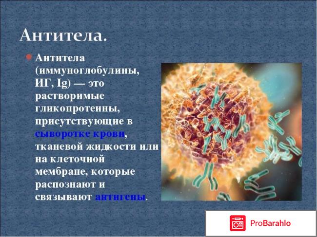 Антитела в крови лечение 