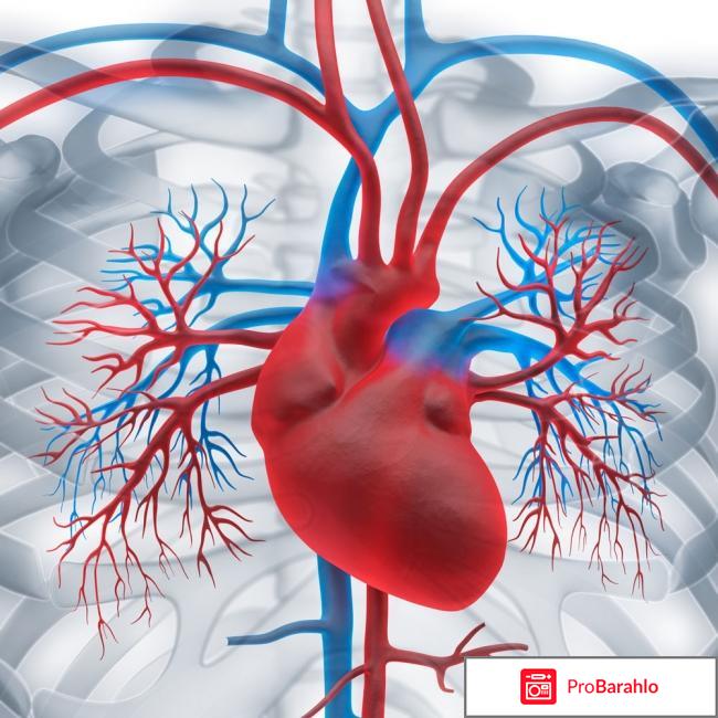 Аневризма аорты сердца что это такое обман