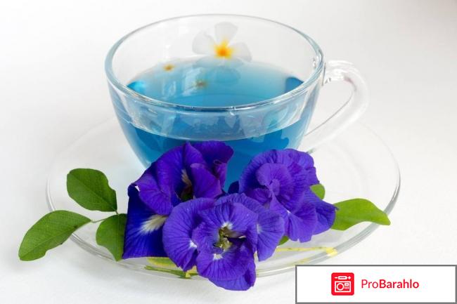 Пурпурный чай чанг-шу отзывы реальные цена в аптеке отрицательные отзывы