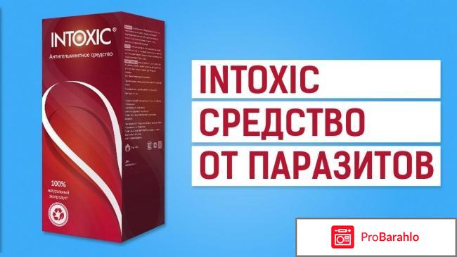 Intoxic развод или правда отзывы отрицательные отзывы
