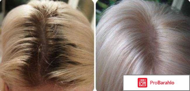 Палетт делюкс 218 Серебристый блондин отрицательные отзывы