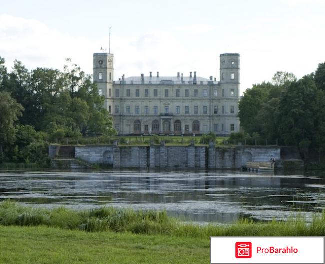 Гатчина санкт-петербург отрицательные отзывы