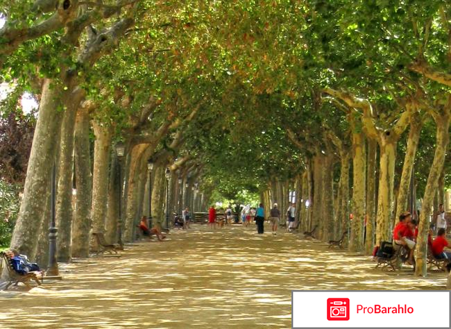 Калелья испания отзывы туристов обман