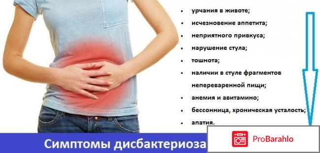 Примадофилус взрослый 