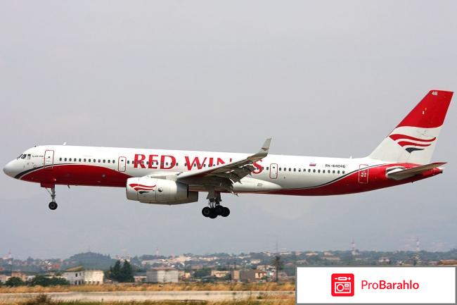 Авиакомпания ред вингс официальный сайт 