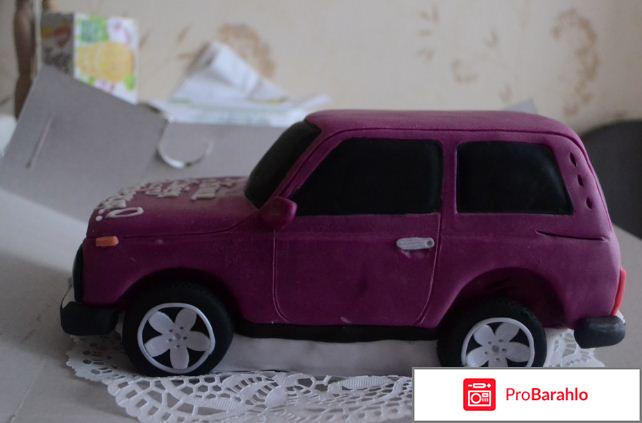 Торт с нивой 