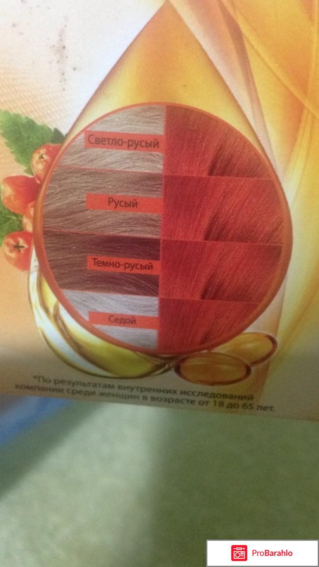 Стойкая крем-краска для волос Рябина 