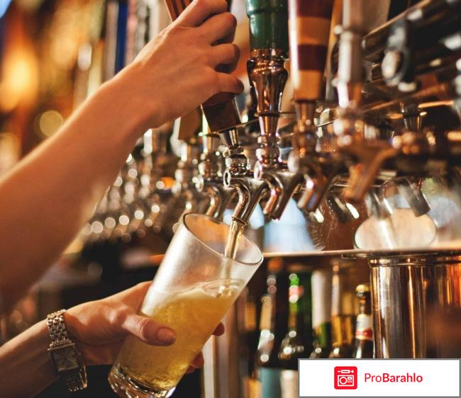 Пивной магазин разливного пива прибыль отзывы отрицательные отзывы