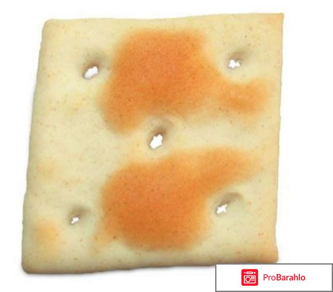 Кондитерская фабрика славянка фото