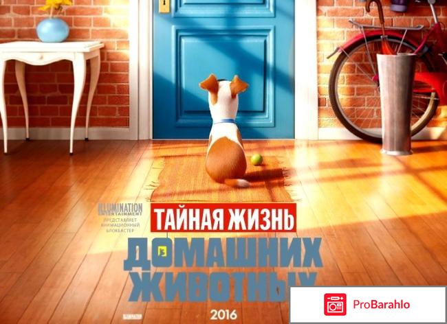 Тайная жизнь домашних животных 