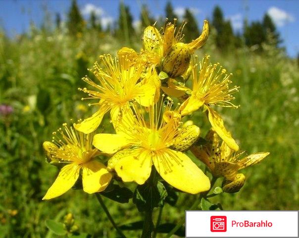 Деприм отзывы людей отрицательные отзывы