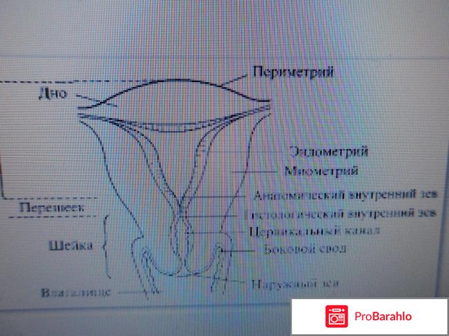 Тонкий эндометрий причины 