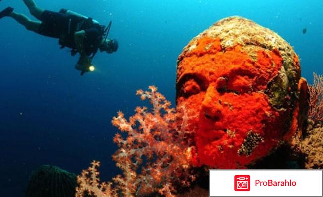 Отдых на бали отзывы туристов с фото отрицательные отзывы