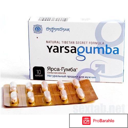 Препарат ярсагумба 