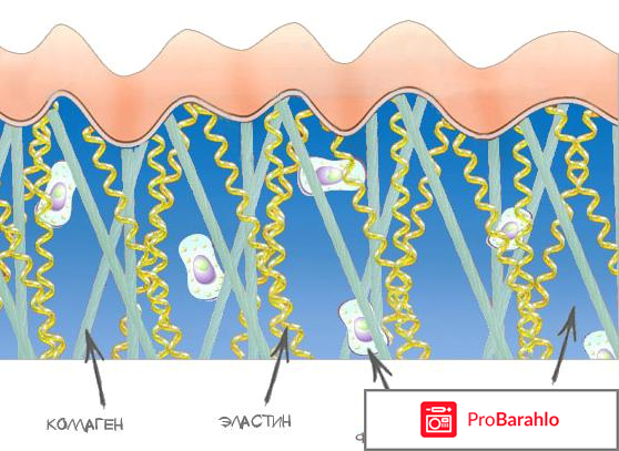 Эластин косметический helso обман