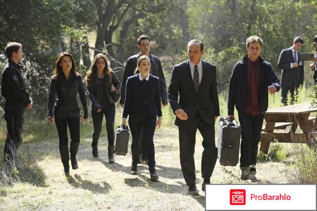 Агенты щита фото