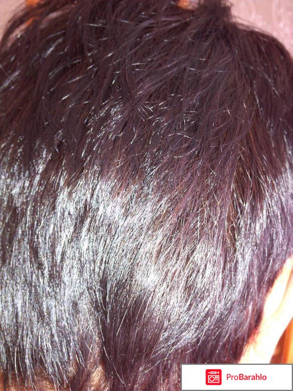 Стойкая крем-краска для волос Acme color 