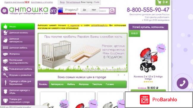 Антошка, Санкт-Петербург 