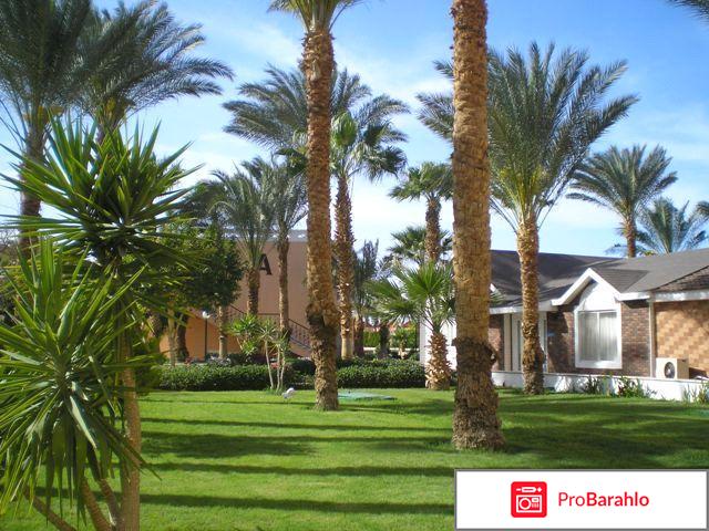 Бич альбатрос резорт хургада 4 отрицательные отзывы