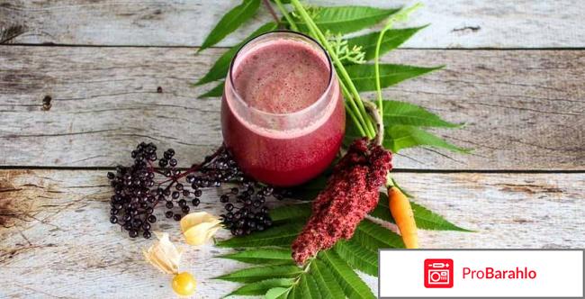 Intoxic отзывы форум отрицательные отзывы