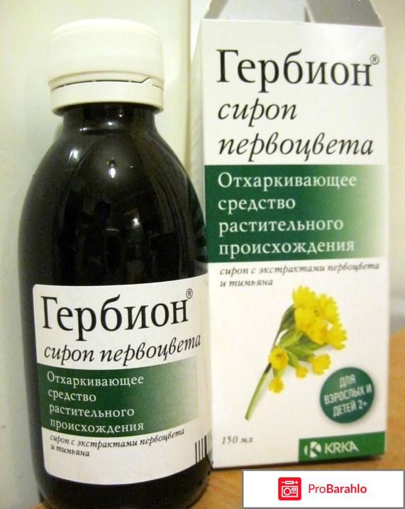 Гербион с первоцветом 