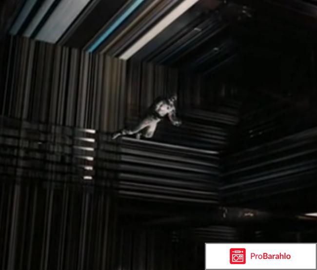 Интерстеллар фильм 2014 отзывы отзывы владельцев