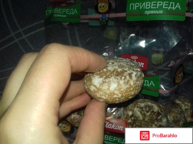 Пряники Slakon 