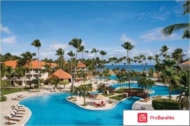 Отзывы whala bavaro