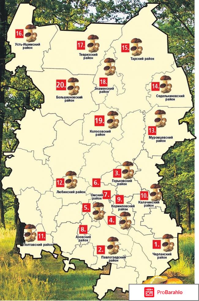 Какова карта грибных мест Омской области? 