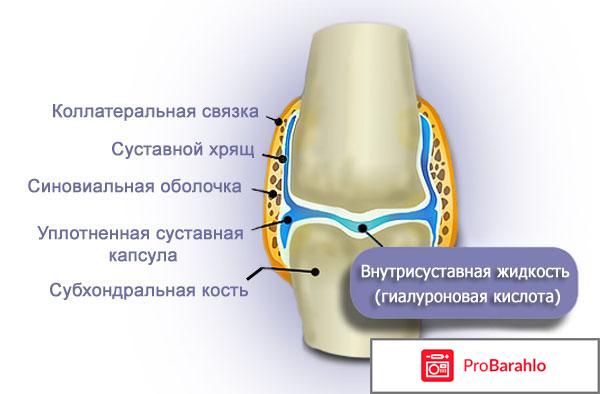 Сустафаст гель развод или нет обман