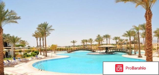 Дессоле египет отрицательные отзывы