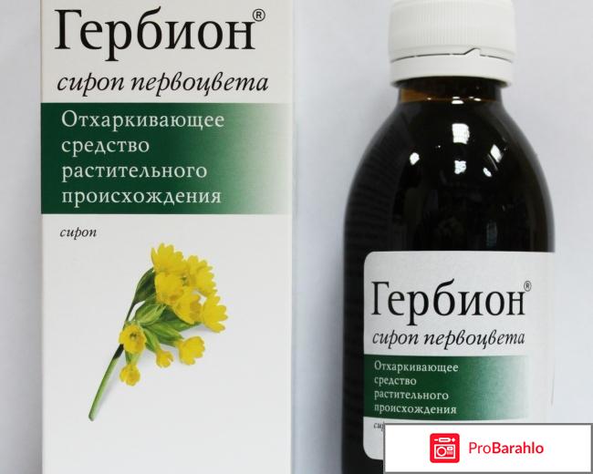 Гербион первоцвет 