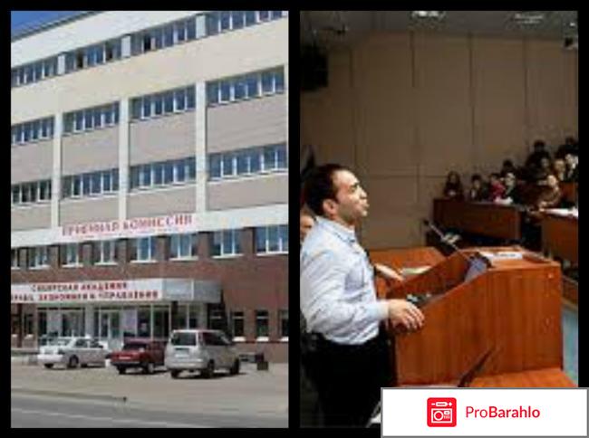 Университет синергия 