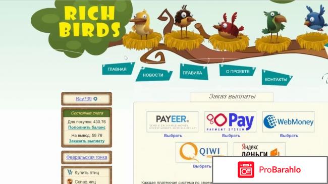 Http rich birds org обман