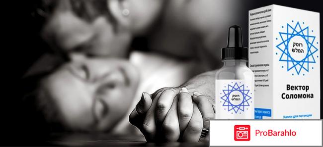 Вектор соломона отрицательные отзывы отрицательные отзывы