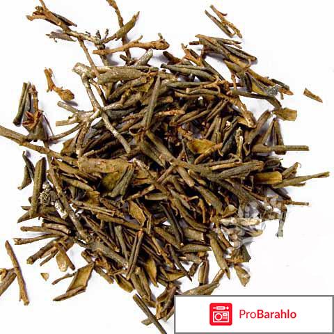 Саган дайля купить 