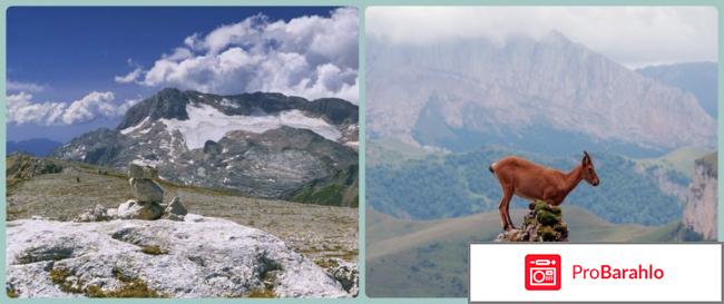 Адыгея отзывы туристов 