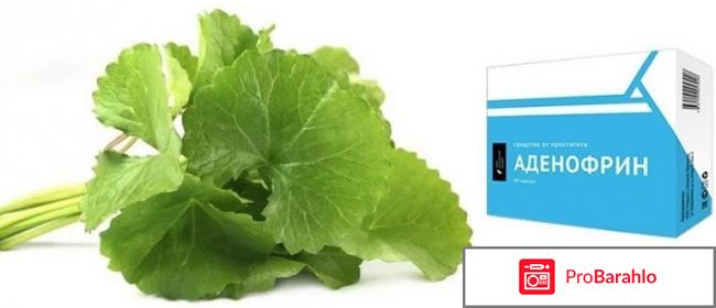 Аденофрин купить отрицательные отзывы