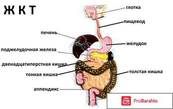 Фитомуцил диет формула отзывы 