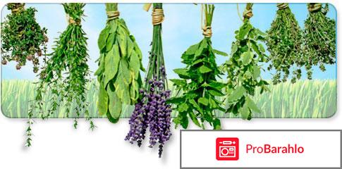 Пластырь zb pain relief отрицательные отзывы обман