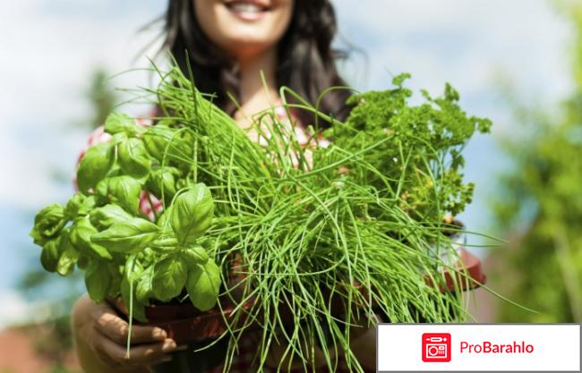 Средства повышающие потенцию у мужчин отрицательные отзывы