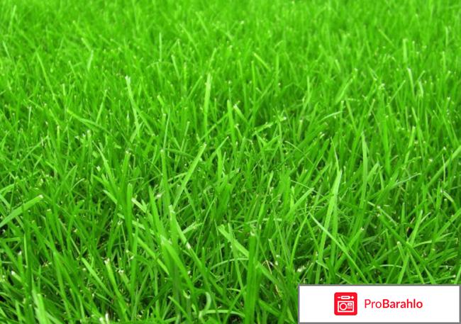 Оформление могил отрицательные отзывы