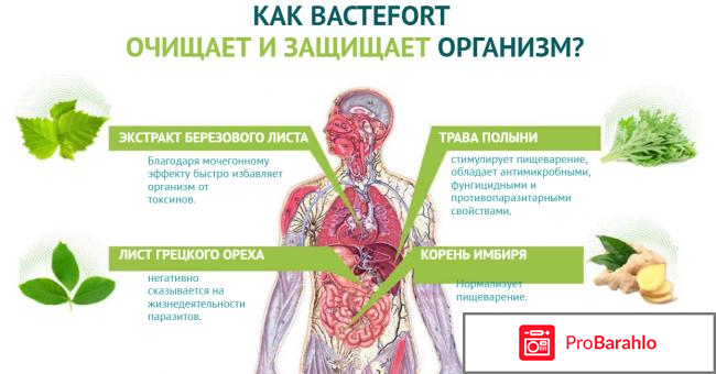 Сколько стоит бактефорт от паразитов отрицательные отзывы